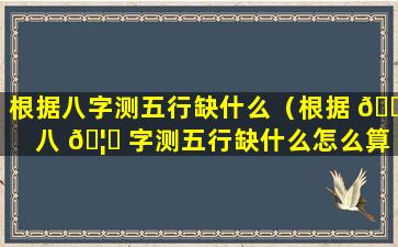 根据八字测五行缺什么（根据 🐱 八 🦉 字测五行缺什么怎么算）